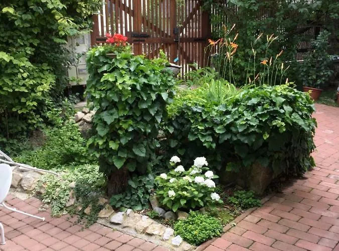 Arácsi Kisház Apartamento