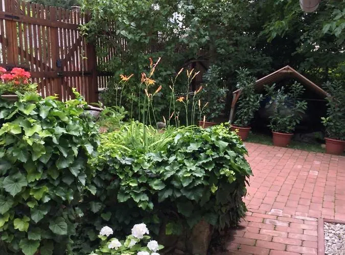 Apartamento Arácsi Kisház